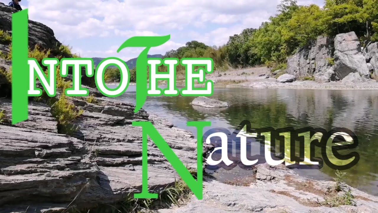 INTO THE NATURE -CINEMATIC FILM B-ROLL  #cinematicfilm #b-roll