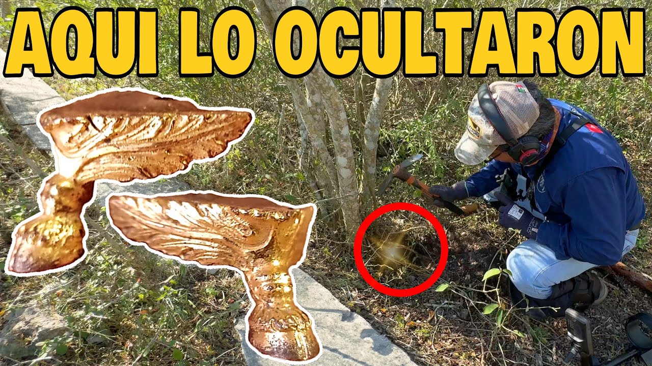 BUSCABA un TESORO PERDIDO con mi detector de metales y me sorprendió encontrar esto en el bosque