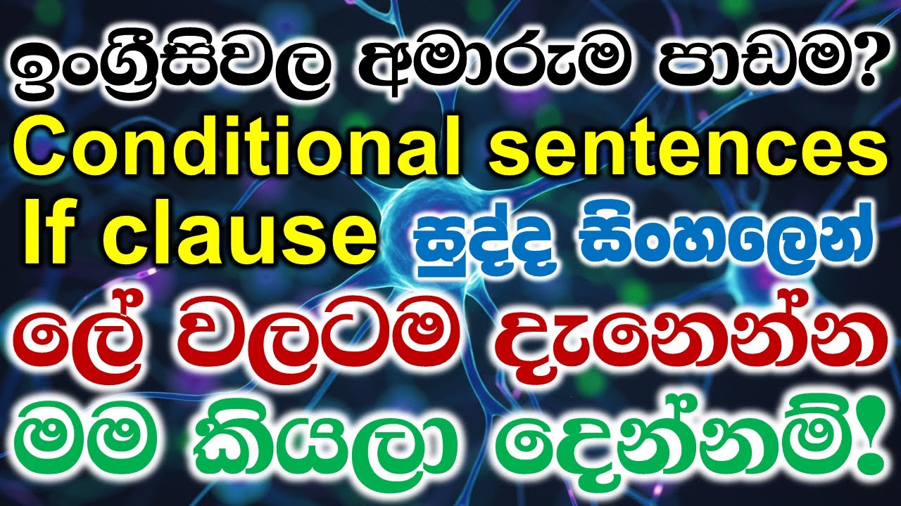 ALL CONDITIONALS | 0,1,2,3 CONDITIONALS | If Clauses | Basic English Grammar Lessons