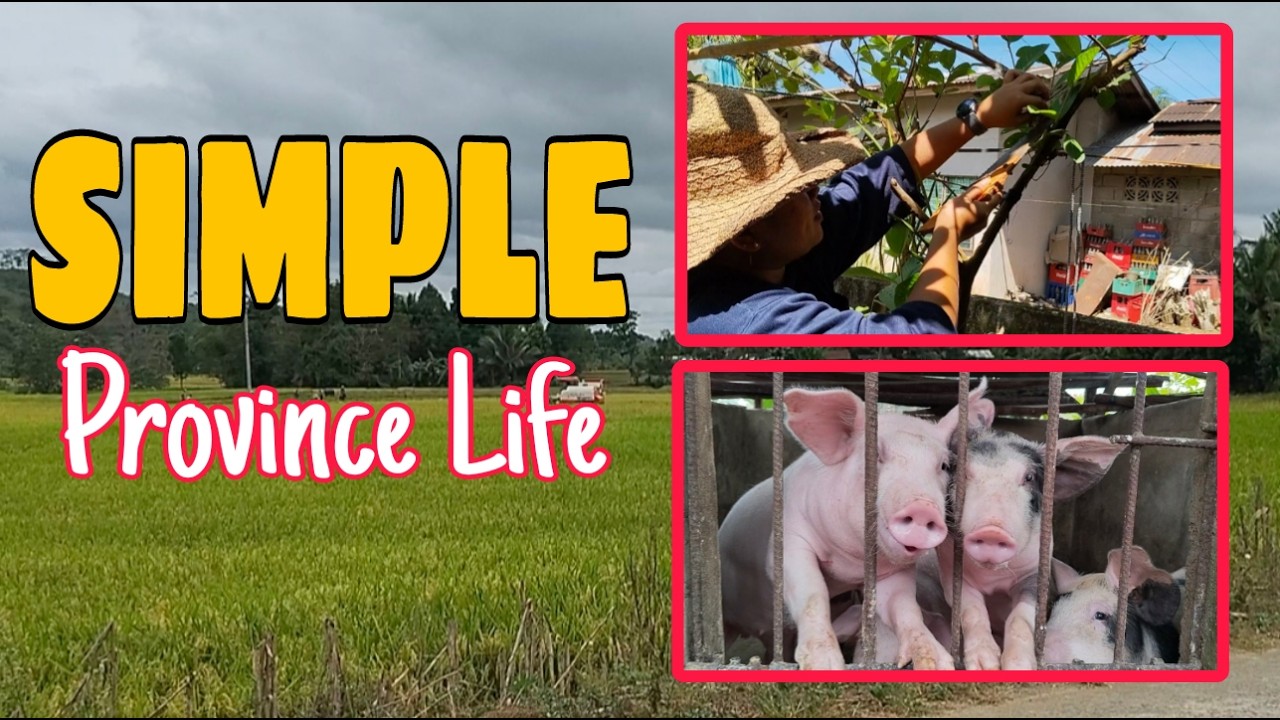 REAL LIFE in the Countryside | Simple Province Living ✨Gardening & Raising Pigs🐖🌱 | SIMPLY Bhing🌿
