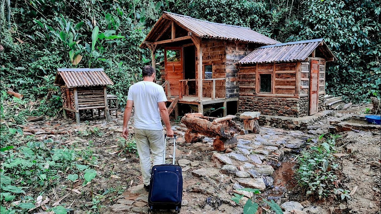 I left the city and built a house in the forest, and after a year, the results were amazing.