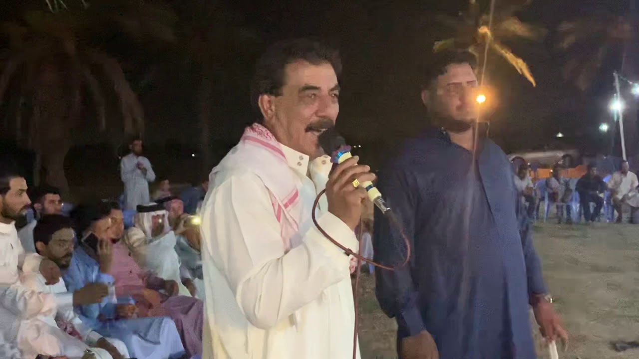 ابو صلاح الشيحاوي حفله الزوينات 2