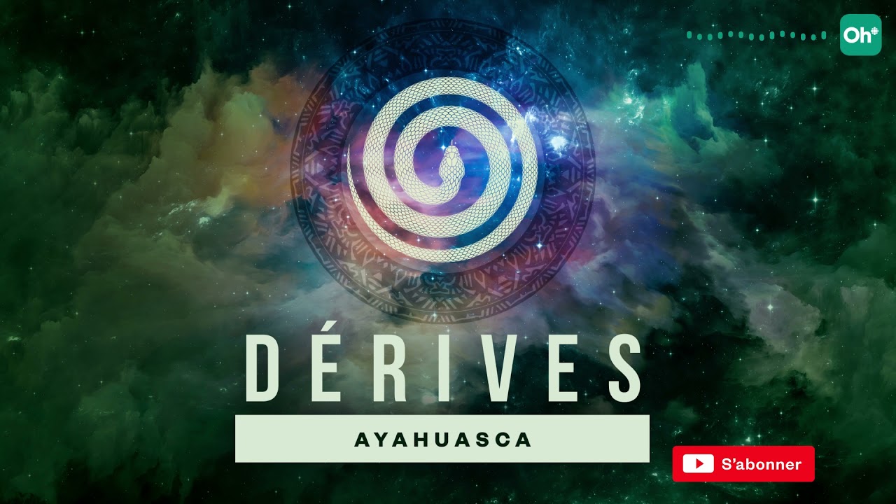 L'ayahuasca, est-ce que c'est dangereux? (D&eacute;rives &bull; Saison 2 avec Olivier Bernard)