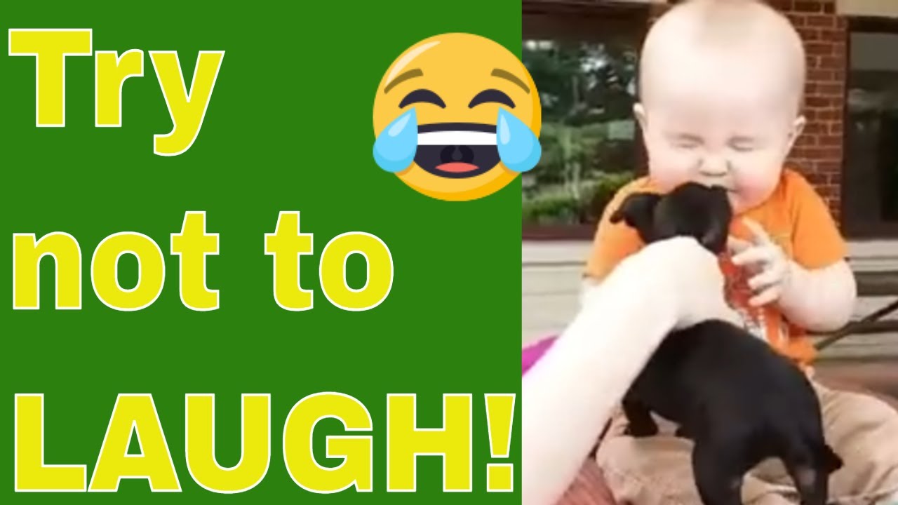 Viral Laughs: Baby and Dog's Unforgettable Bond 🐶👶 #BabyAndDog #CuteMoments #PetLovers