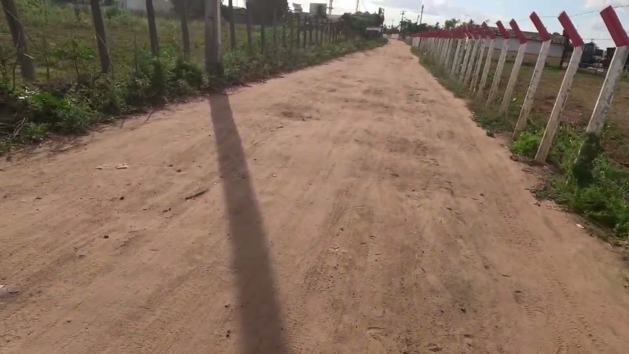 Conheça os trios do trem da Conceição da feira Bahia. 
