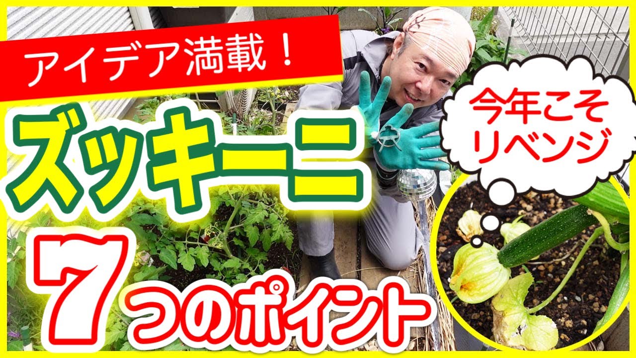 【アイデア満載】ズッキーニの育て方、７つのポイント　～狭い庭で家庭菜園～