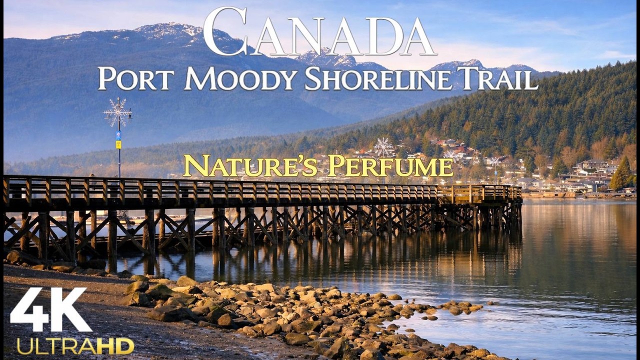 Port Moody Shoreline Trail | Relaxing Walk • No Talking • Nature Sounds • 4K