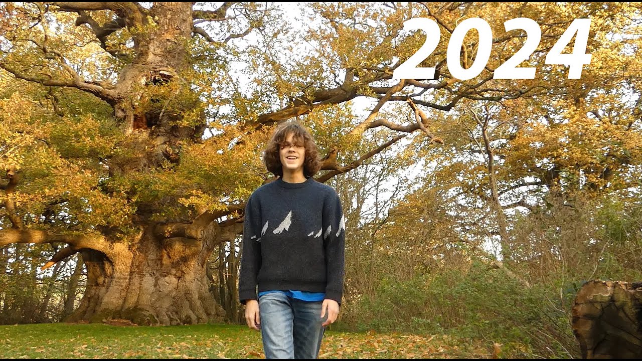 My Documentaries Progress in 2024