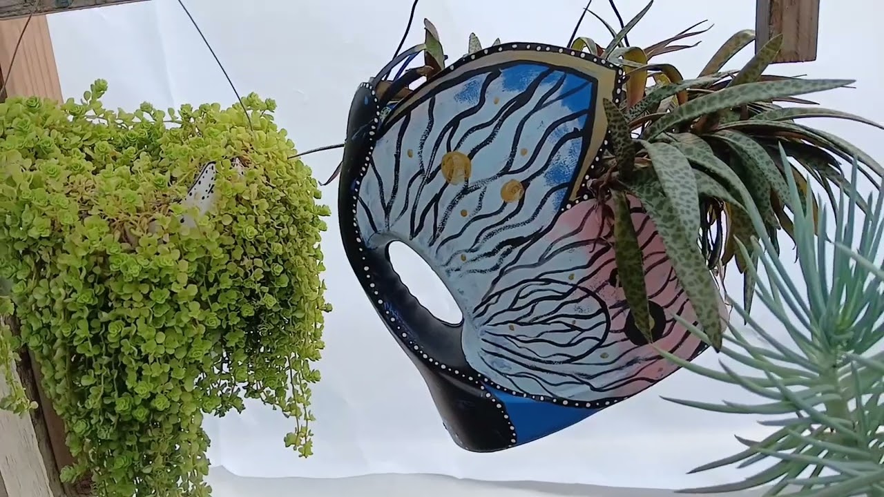 Así Protegi a mis plantas del Frio 🥶