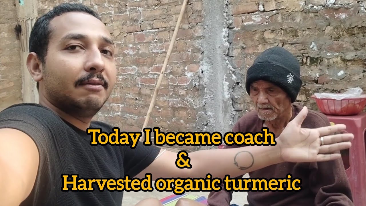 Today I became coach & harvested organic turmeric.
