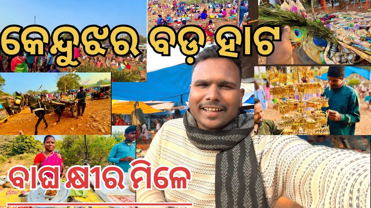 କେନ୍ଦୁଝର ବଡ ହାଟ❗️ବାଘ କ୍ଷୀର ମିଳେ ❗️❗️😳 #viralvideo villagelifestyle #tribalmarket #odisha #kendujhar 