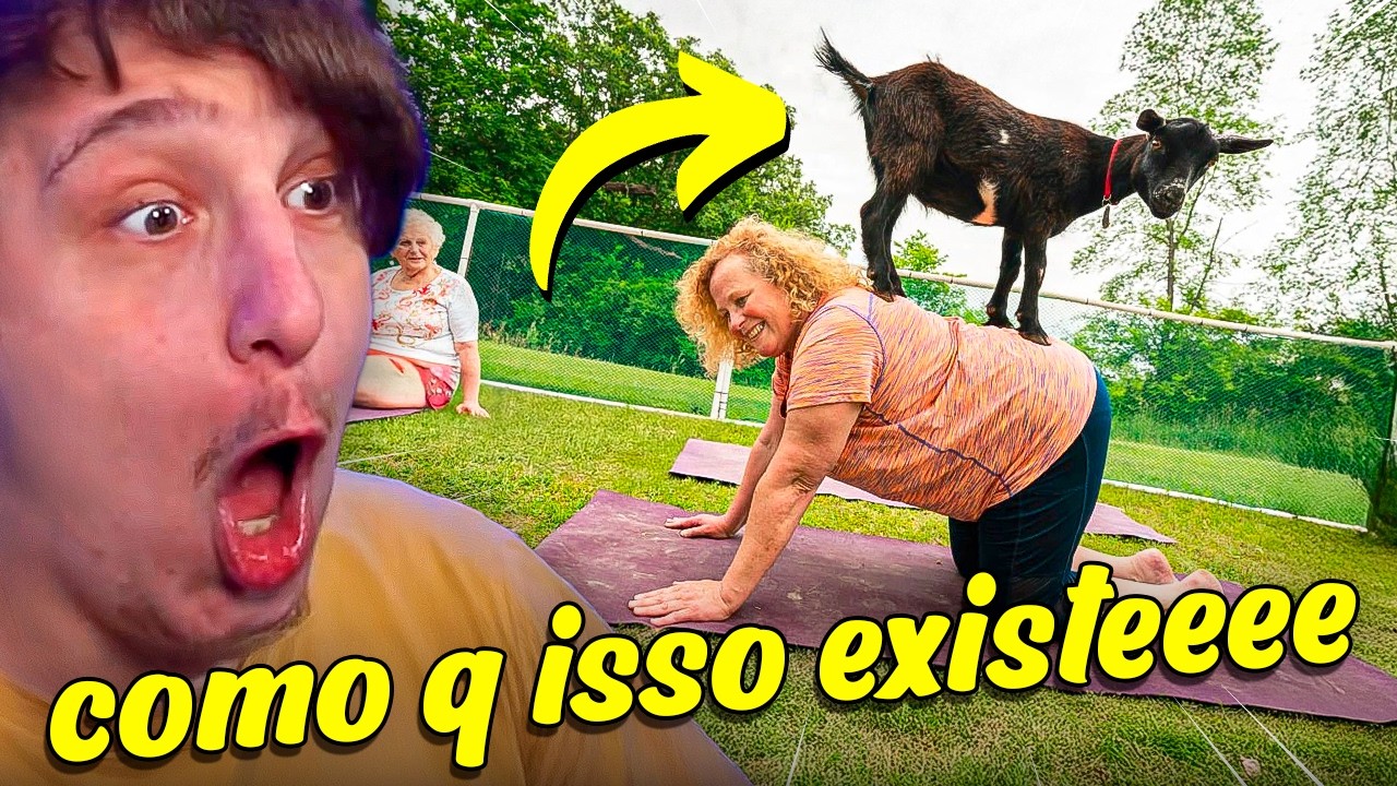 Os animais MAIS BURROS do Mundo!