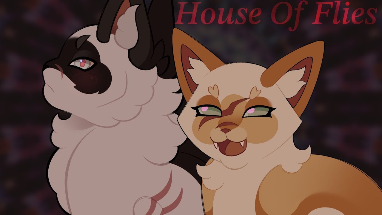 House Of Flies // Darktail & Sleekwhisker