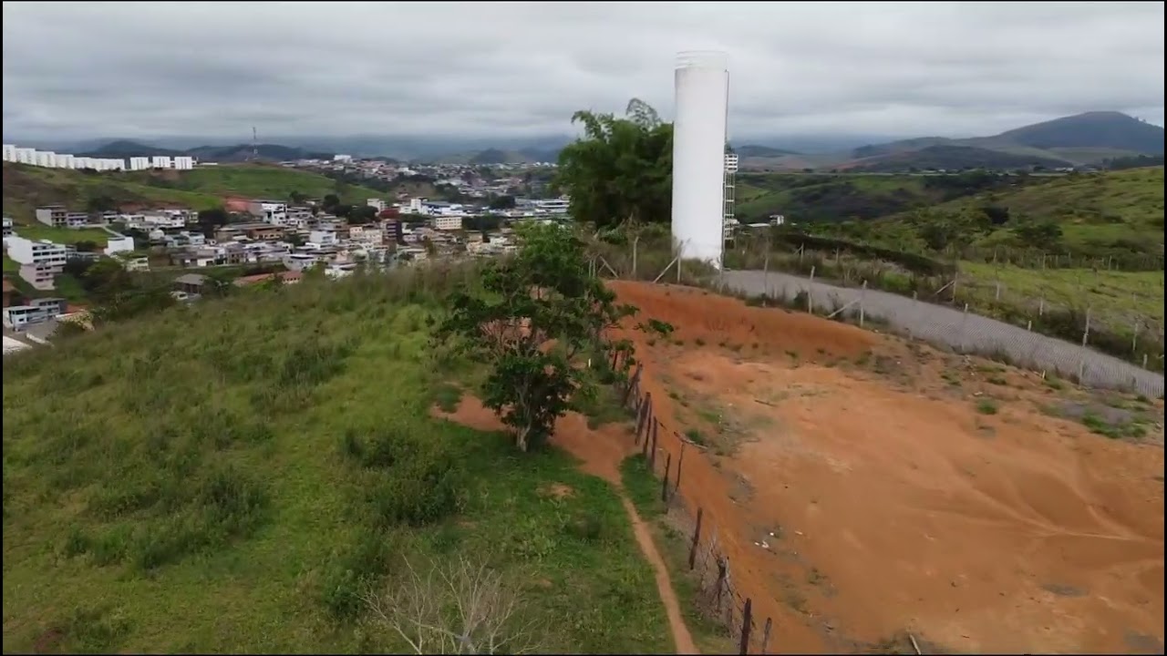 Drone localizou ÁRVORE 🌳 De PINHEIROS #TOMDRONES 