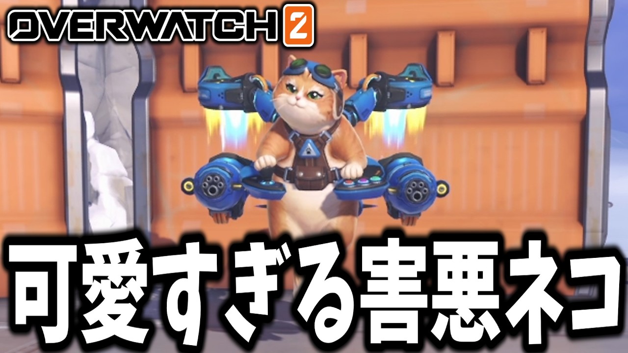 【OW2】敵を落としまくる不快ネコ！？可愛すぎる新キャラ『ジェットパックキャット』があまりにも害悪すぎる件...w【Overwatch2】
