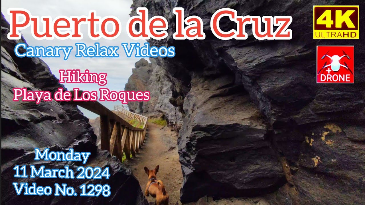 Tenerife 🏝️ Puerto de la Cruz Hiking Playa de los Roques Teneriffa