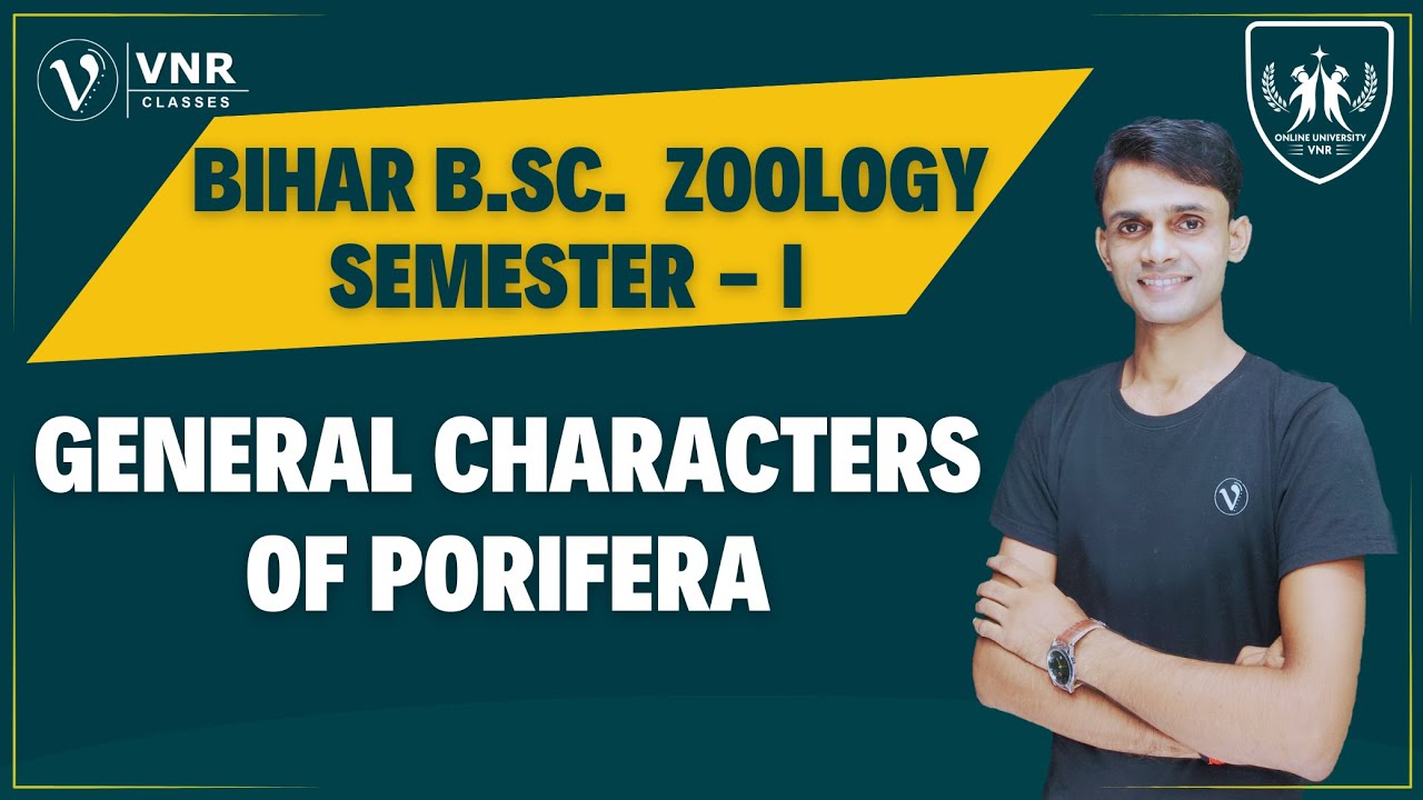 (04) PORIFERA || GENERAL CHARACTERISTICS |  BIHAR B.Sc. SEMESTER- I, ZOOLOGY