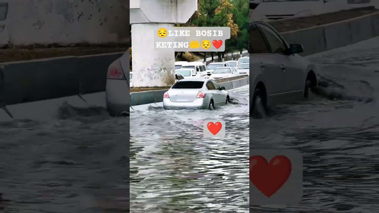 #uzb #uzbekistan #uzbek_video #uzbeksila #uzbekiston #uzbek_show #uzbekstar #toshkent #uzbek_video
