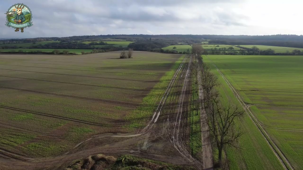 Essex Countryside Aerials | DJI Mini 4K Drone Footage | Feb 2026