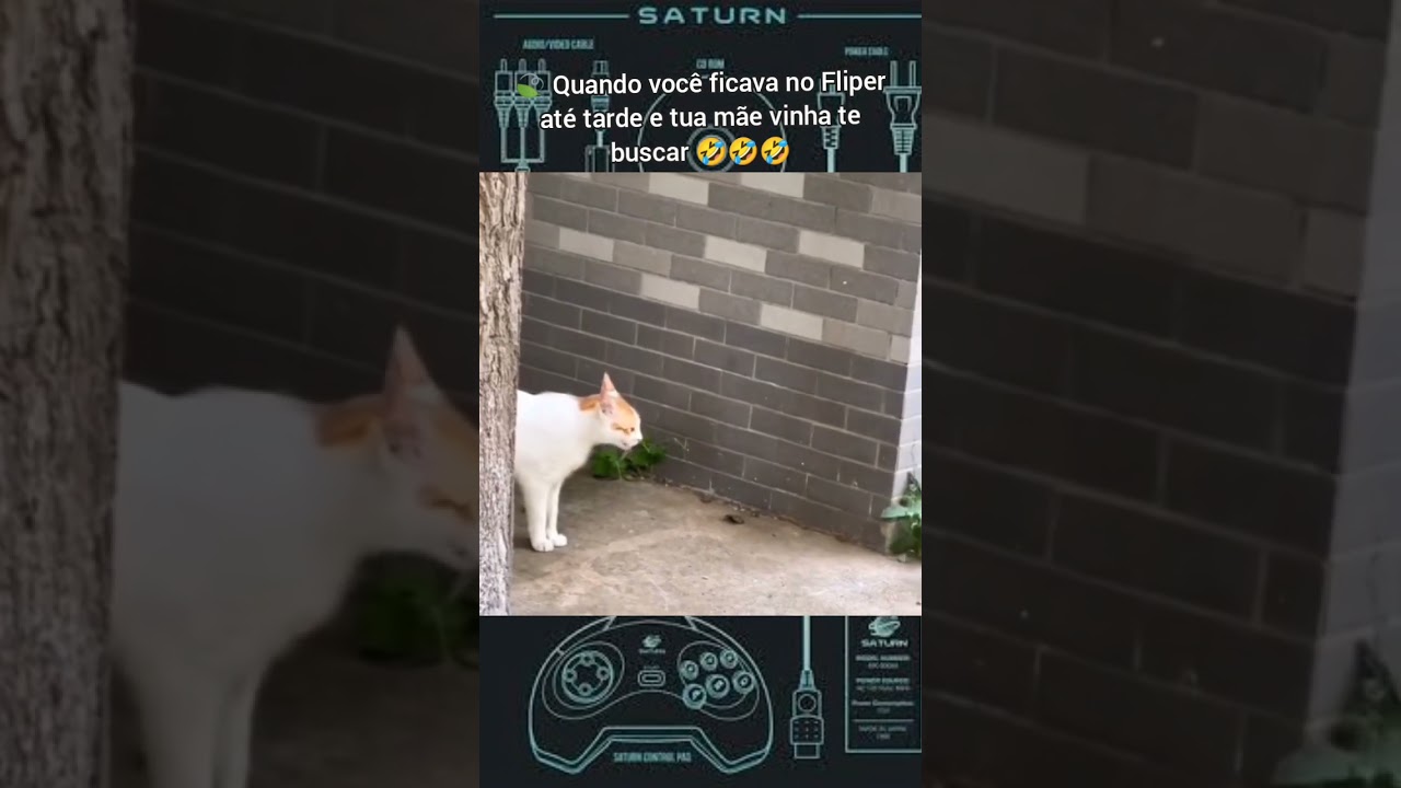 Quando tua m&atilde;e ia te buscar no Fliper 👀