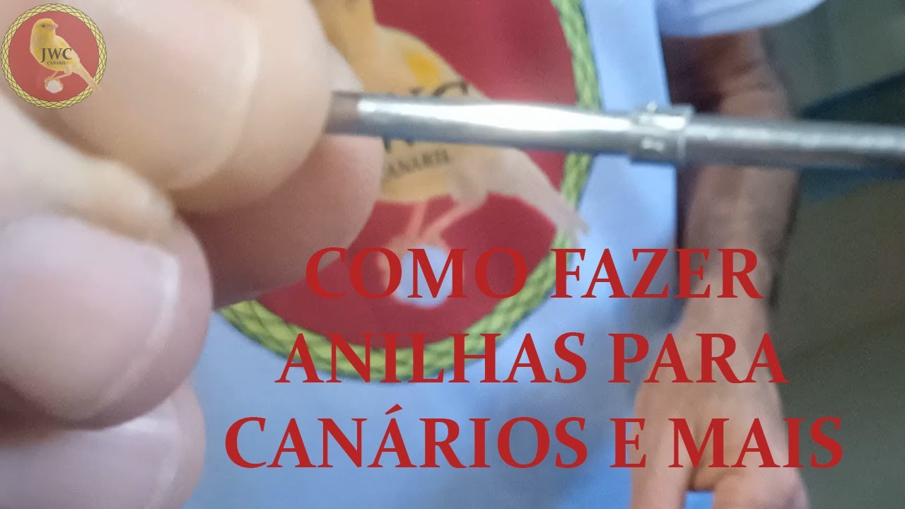 Como fazer anilhas para canários! Árvore genealógica dos canários! E como está a reprodução!