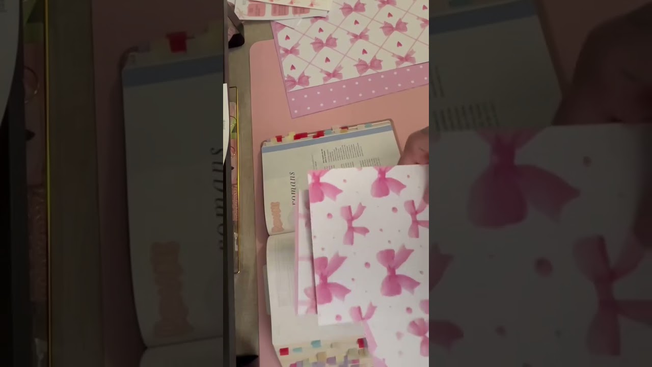 Setting up a Loaded She Reads Truth Bible 