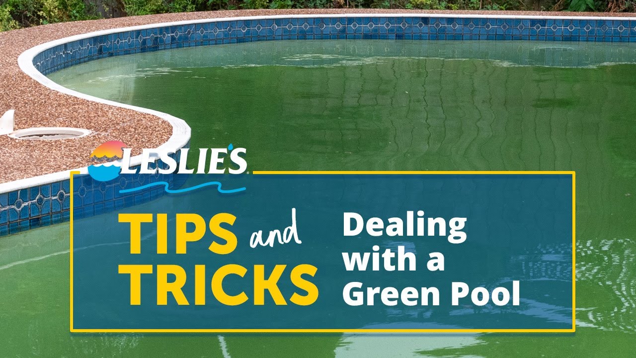 Leslie's Tips: Dealing with a Green Pool | Leslie's