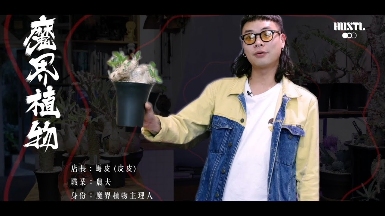 【#HUS專訪】潮種塊根植物 奇形怪狀受潮人熱捧 ｜HUSTL.特攝 x 魔界植物 馬皮