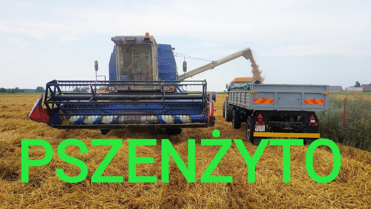 Zostałem kombajnistą... pierwszy i ostatni raz na tym polu! Pszenżyto przegrało z żytem! Vlog 213