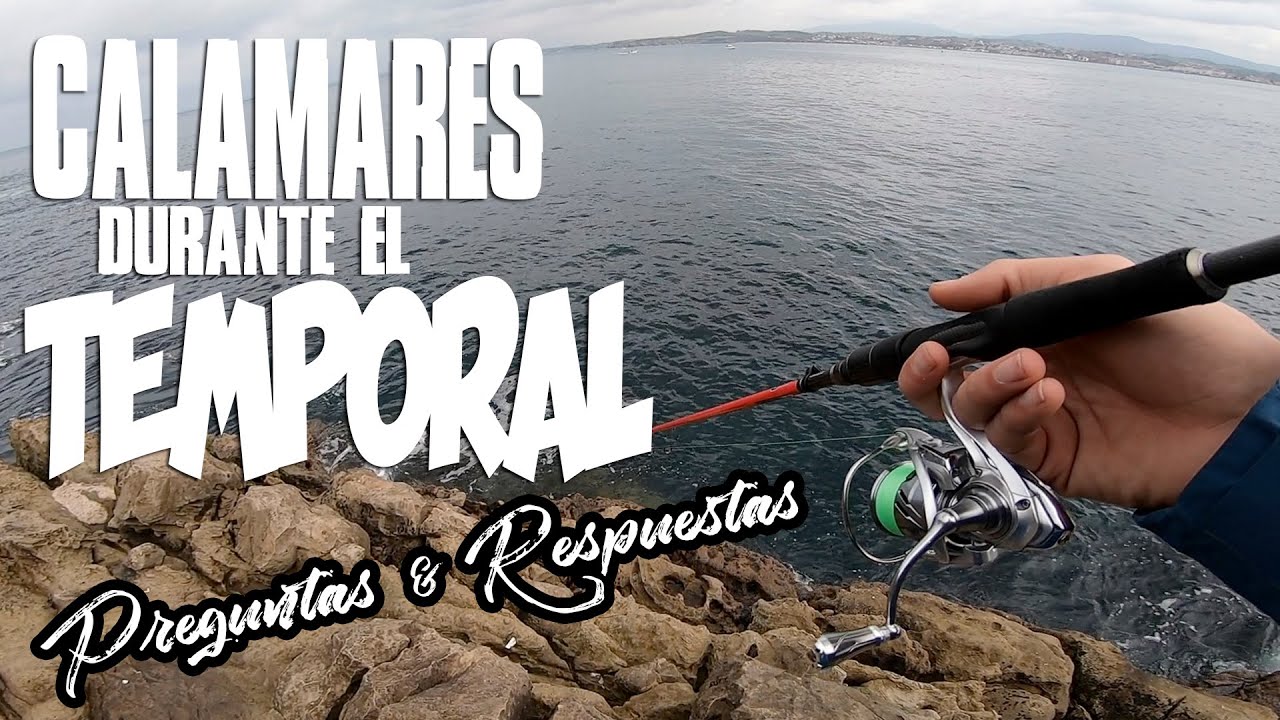 Calamares durante el temporal / 𝙋𝙍𝙀𝙂𝙐𝙉𝙏𝘼𝙎 𝙔 𝙍𝙀𝙎𝙋𝙐𝙀𝙎𝙏𝘼𝙎 𝕄𝕋𝕄 #2