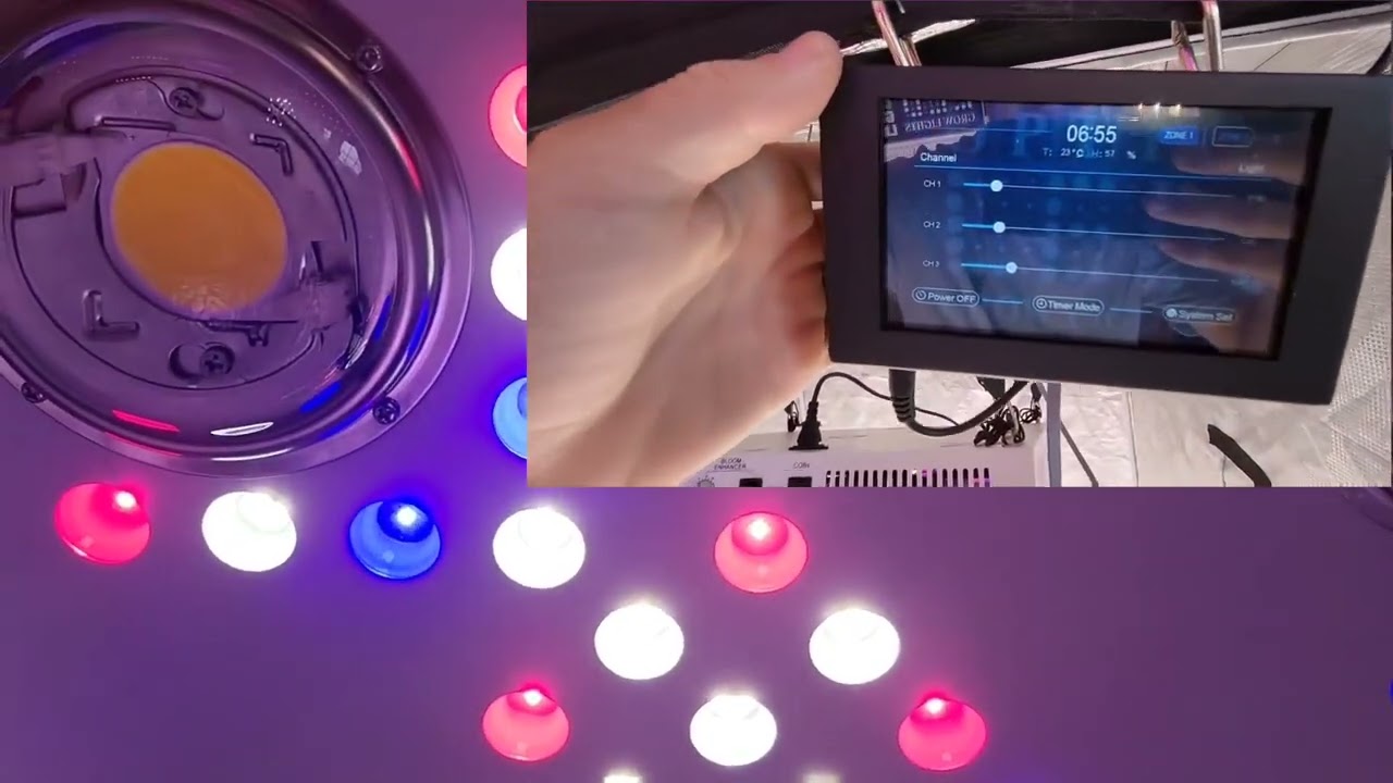 700 Watt Optic 8+ Gen3 -  Grow Along with me using the new Optic8 in the side by side Grow rooms