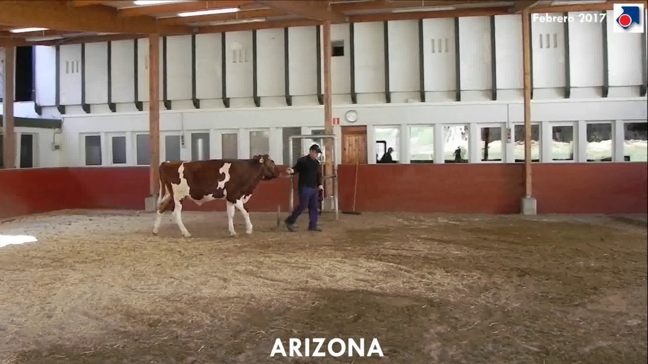 ARIZONA