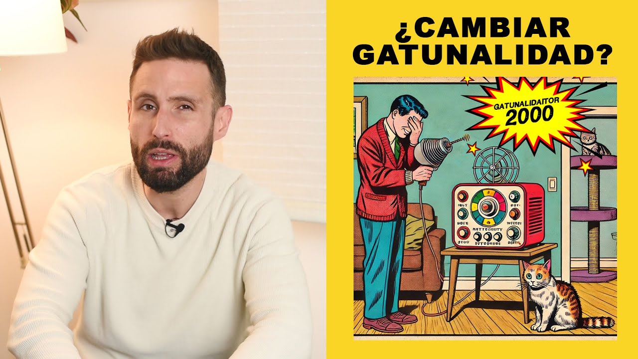 &iquest;Se puede cambiar la personalidad (gatunalidad) de un gato t&iacute;mido?