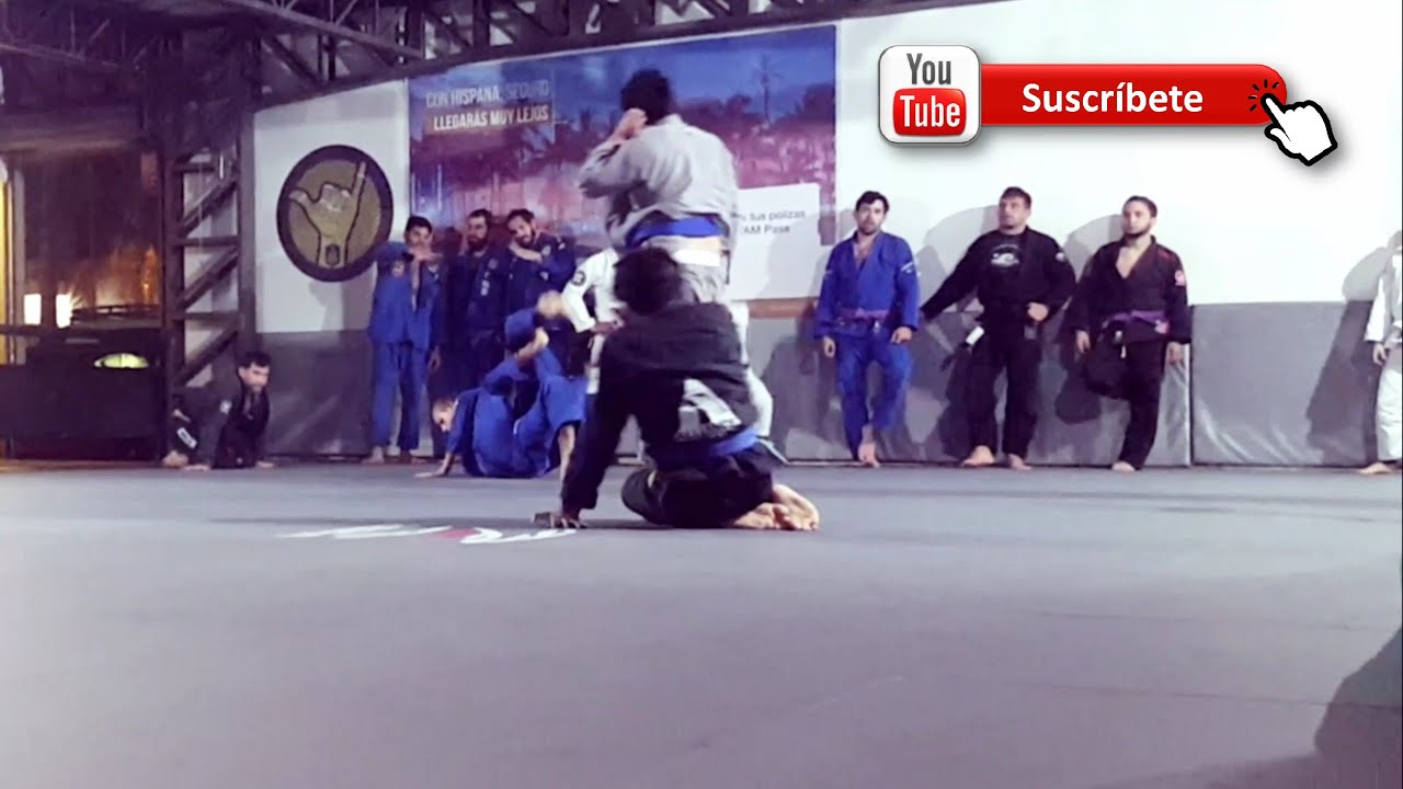 Reglas del tatami | bjj vlog 310