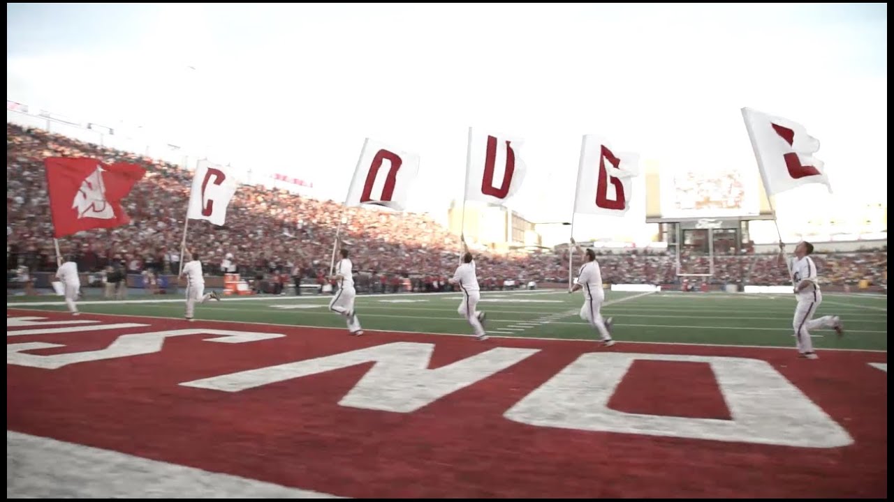 2015 WSU Cheer highlights
