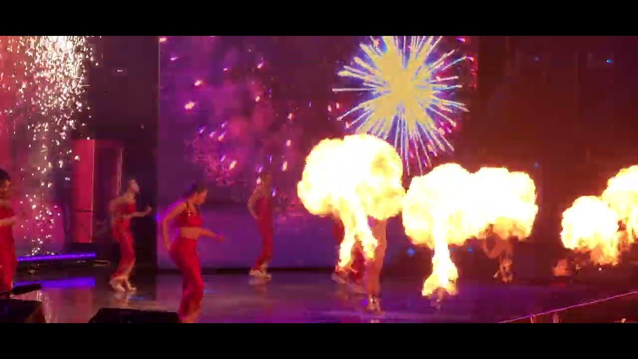 Camille - Vuurwerk, live in de Lotto Arena