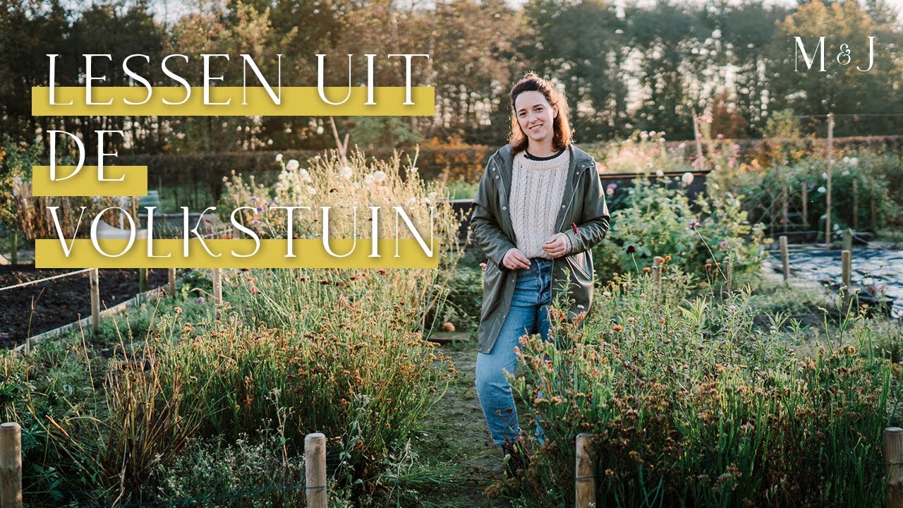 Wat ging er wel en niet goed in de volkstuin? - MAY & JUNE