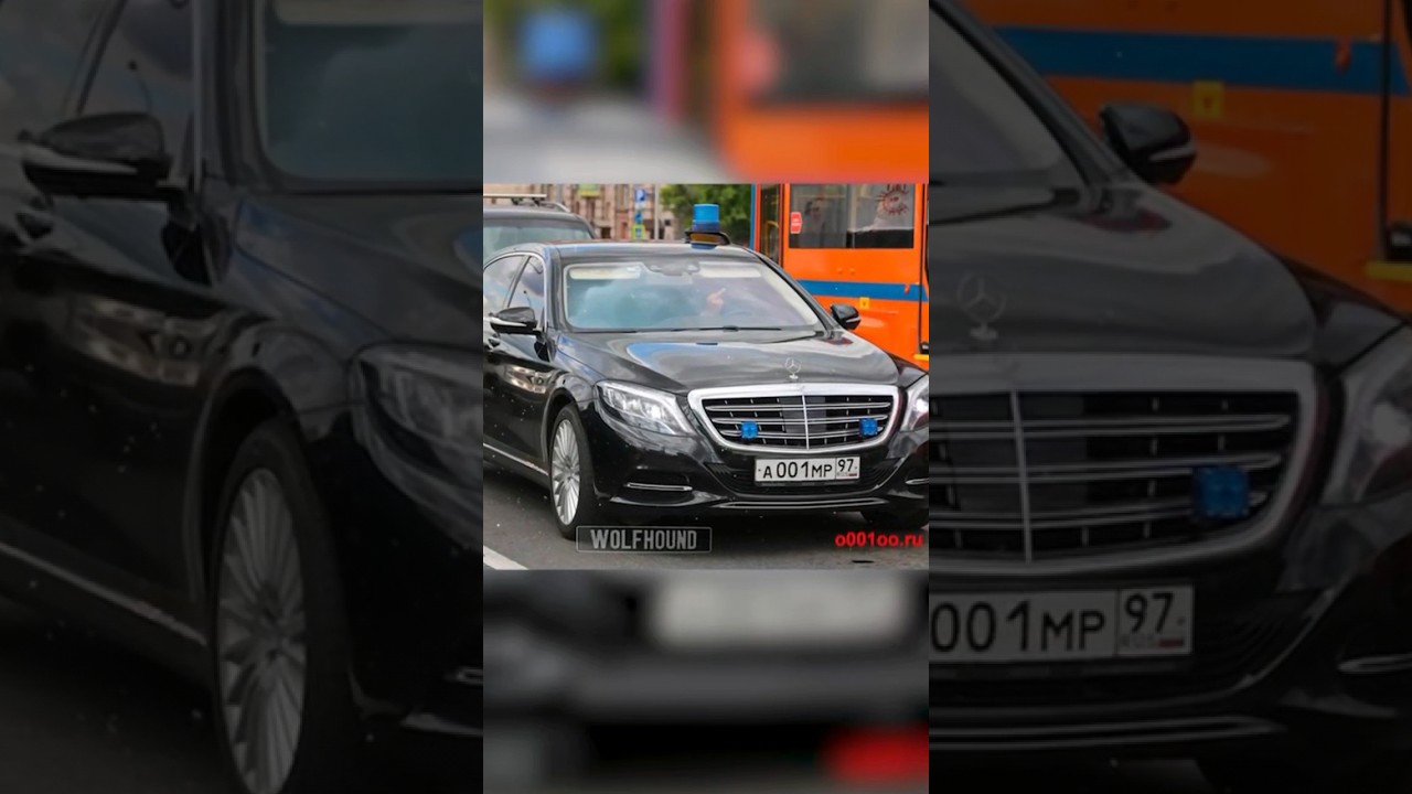 Самая сильная серия номеров в РФ АМР 97 #автомобили #automobile #номера #госномер #блатные #номера