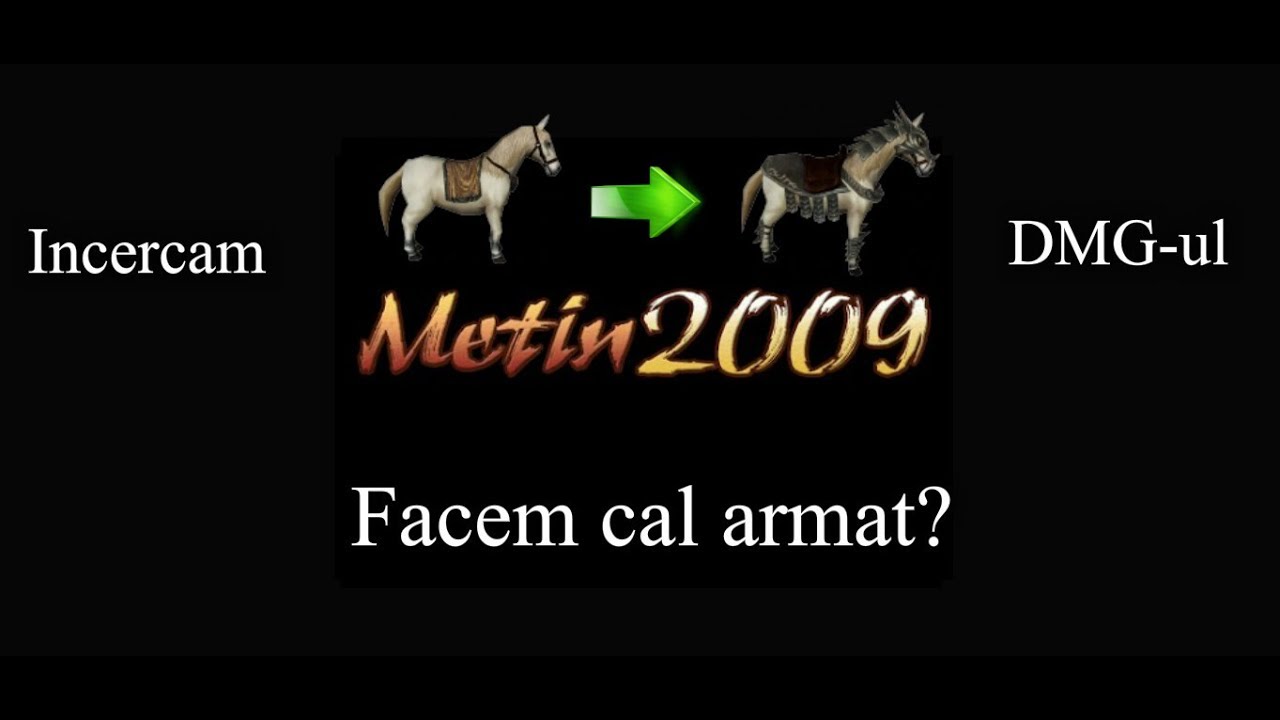 Metin2009 - Facem Cal Armat