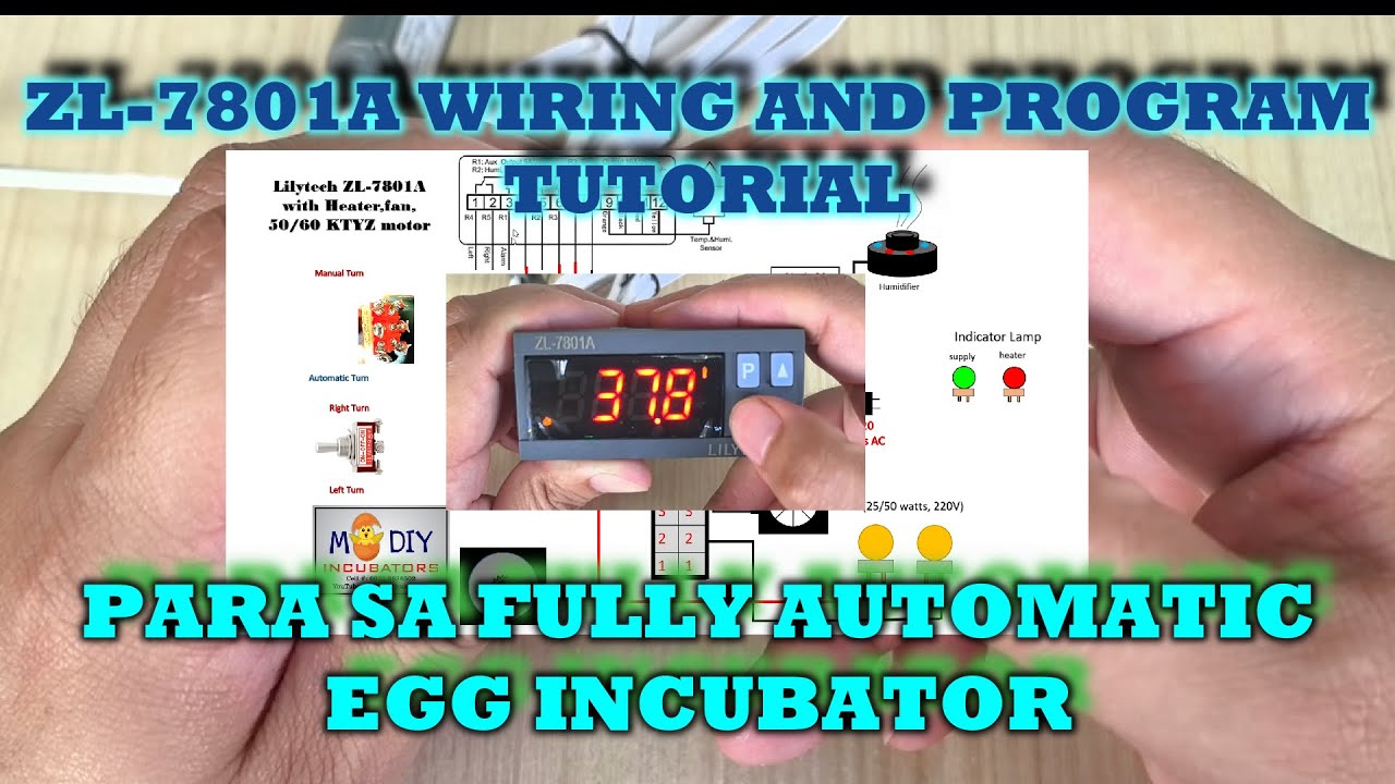 Lilytech ZL 7801A Wiring and Program Setting Tutorial (FULLY AUTOMATIC EGG INCUBATOR)