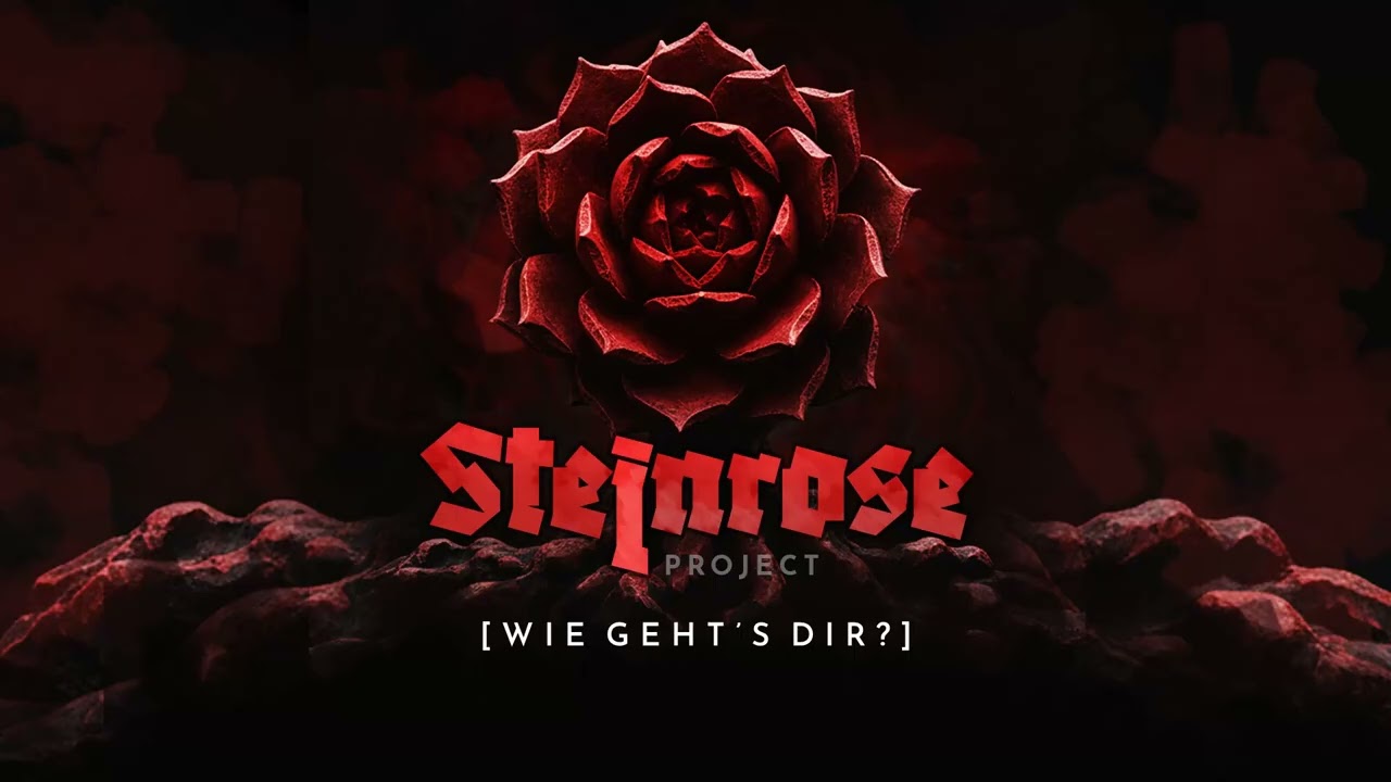 Steinrose - Wie Geht’s Dir? (Monte Rosa cover)