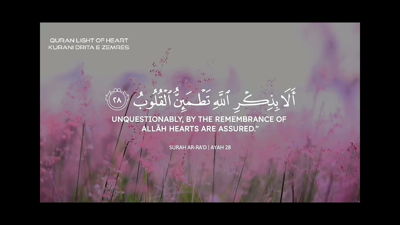 ما اجمل الاستماع الى القران الكريم💗
