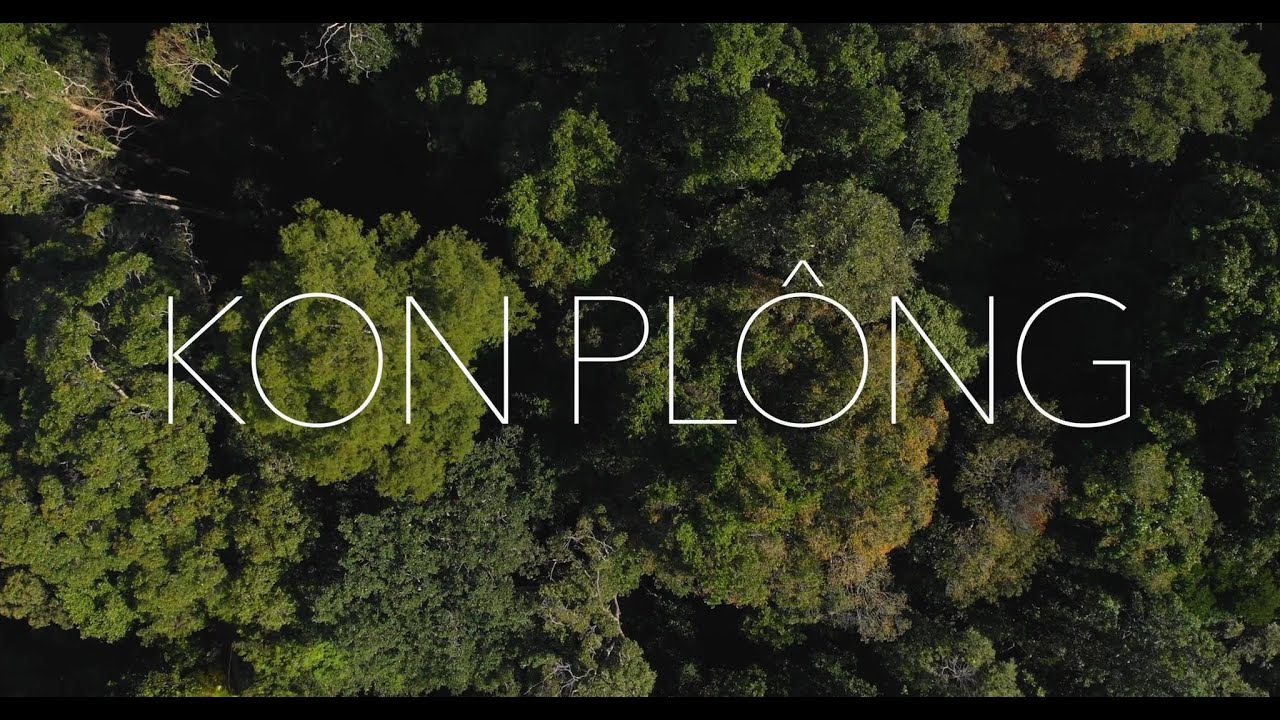 Forests of Kon Plong