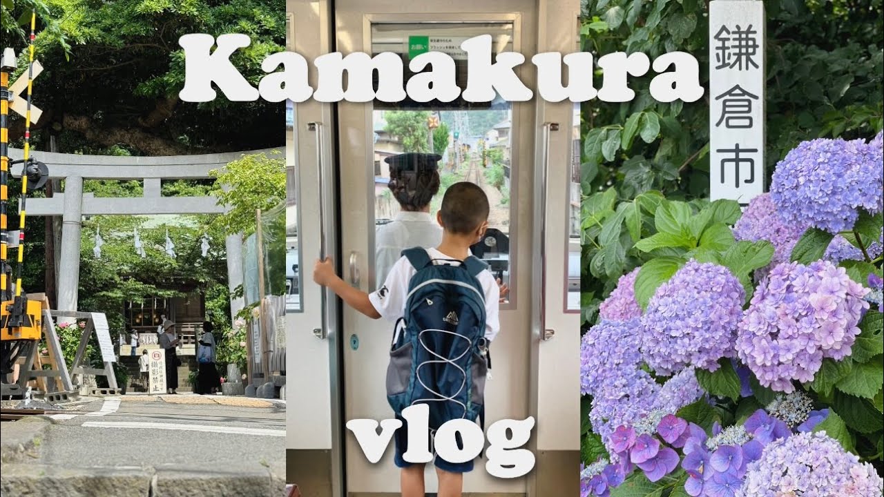 혼자 가마쿠라｜가마쿠라 수국여행💠｜에노덴을 찍는 가장 멋진 장소🚃｜추천 카페 푸딩&팬케이크｜도쿄근교여행