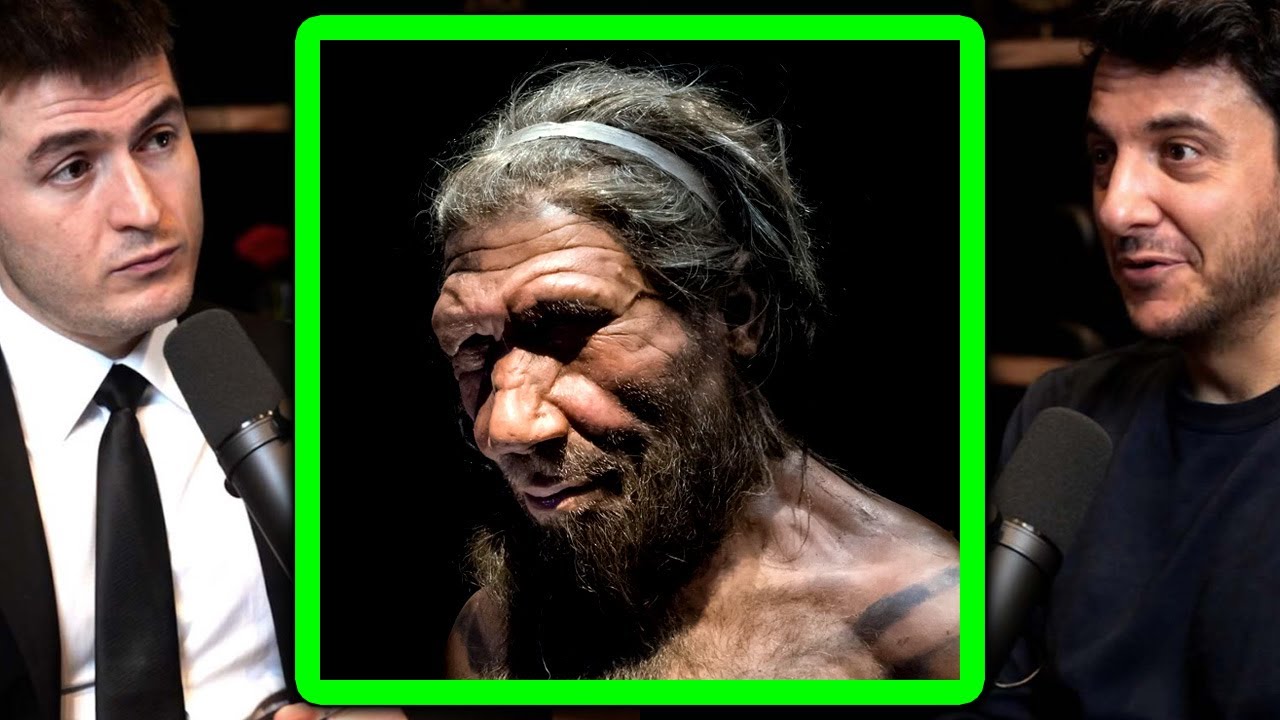 Brief history of humans on Earth | Tim Urban and Lex Fridman