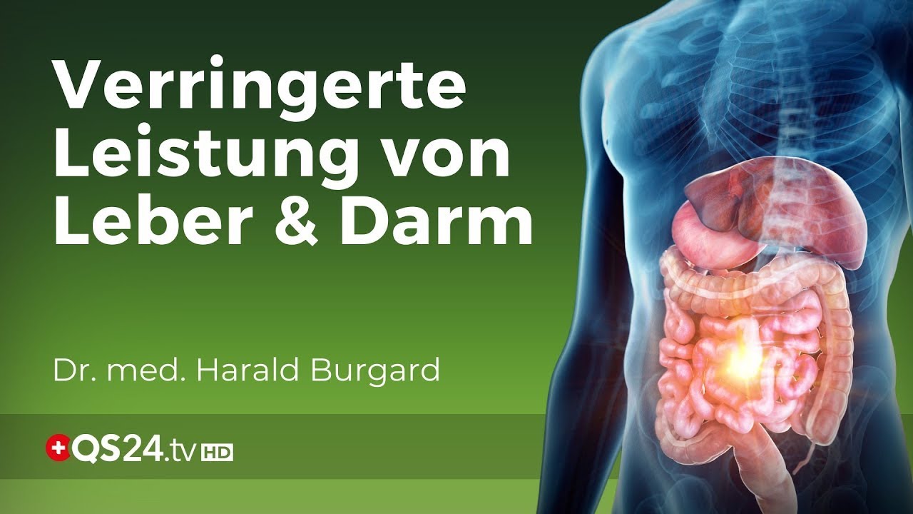 Warum Leber- und Darmentgiftung so wichtig sind | Dr. med. Harald Burgard | NaturMEDIZIN | QS24