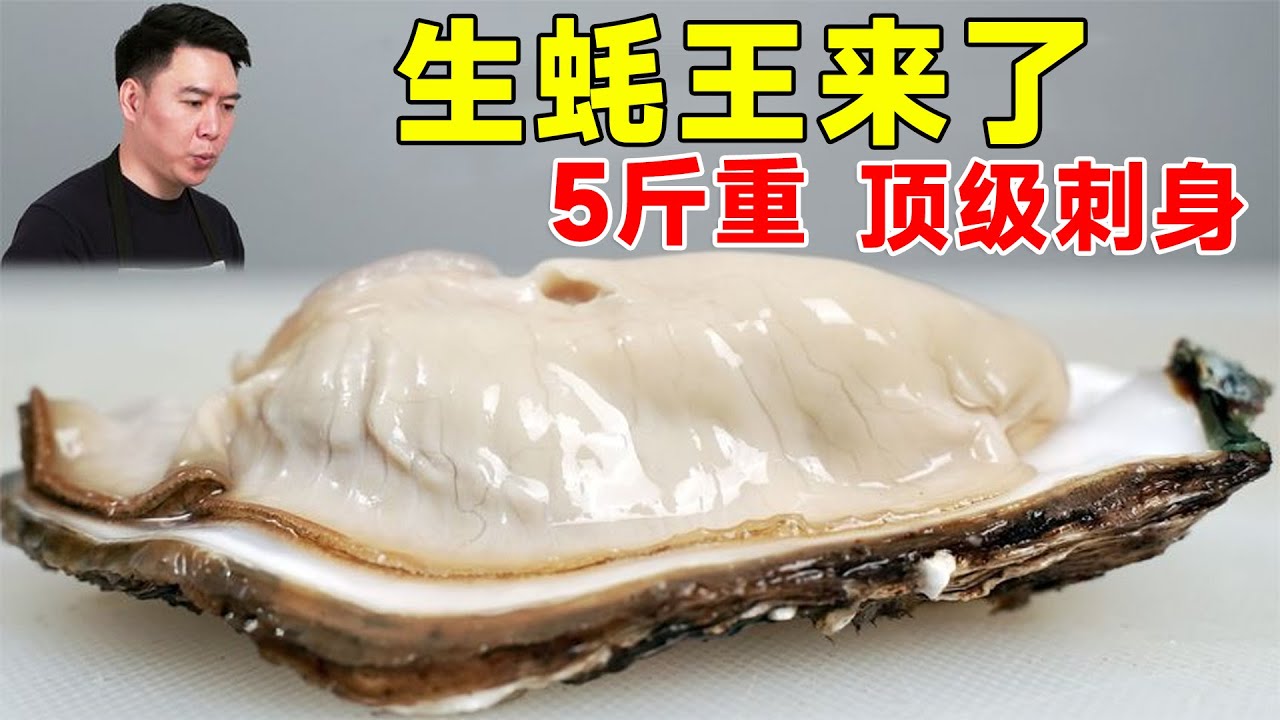 🈴试吃极品生蚝，5斤重蚝王+试吃极品生蚝，顶级刺身，我一个人吃了30个 #小文哥吃吃