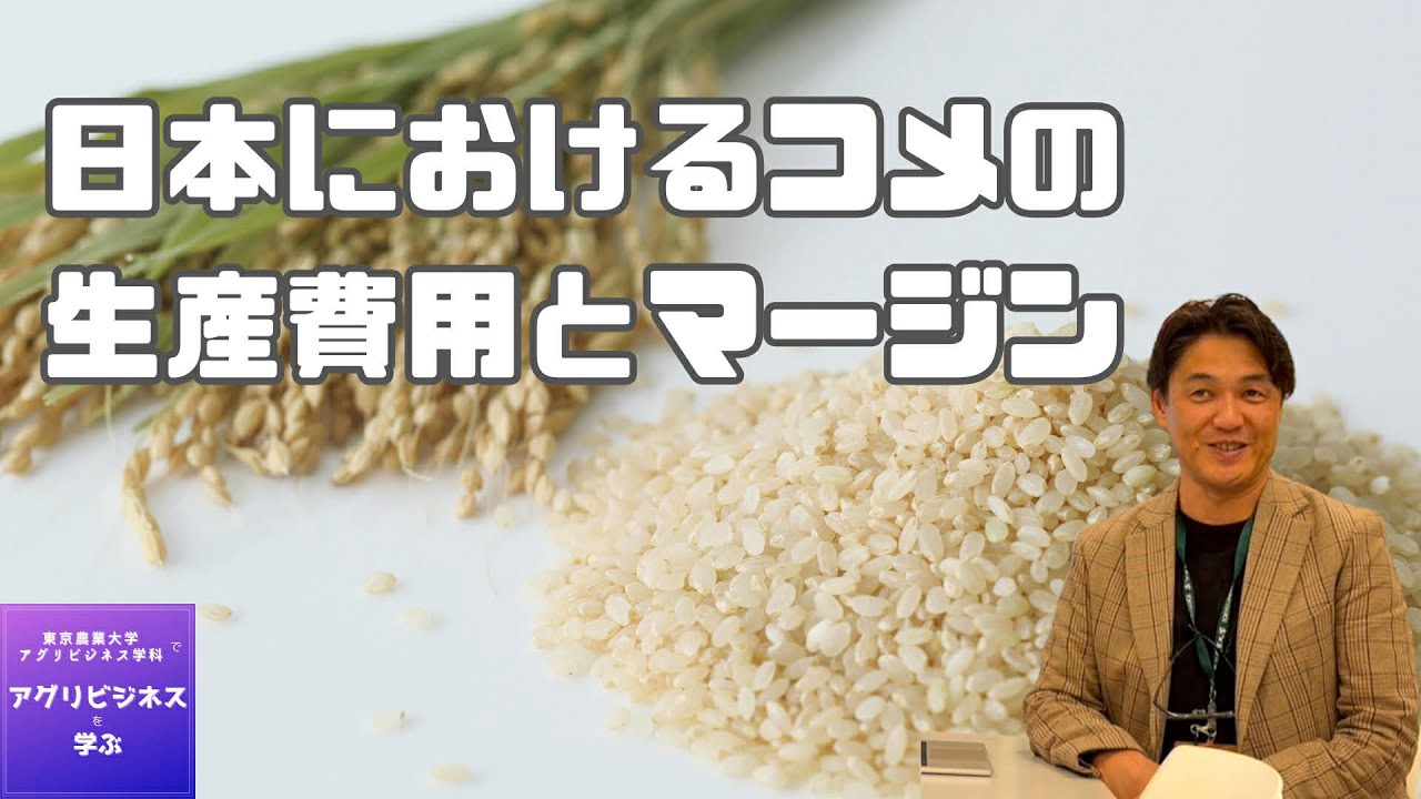 2025-13. 日本におけるコメの生産費とマージン（2025.11.20）