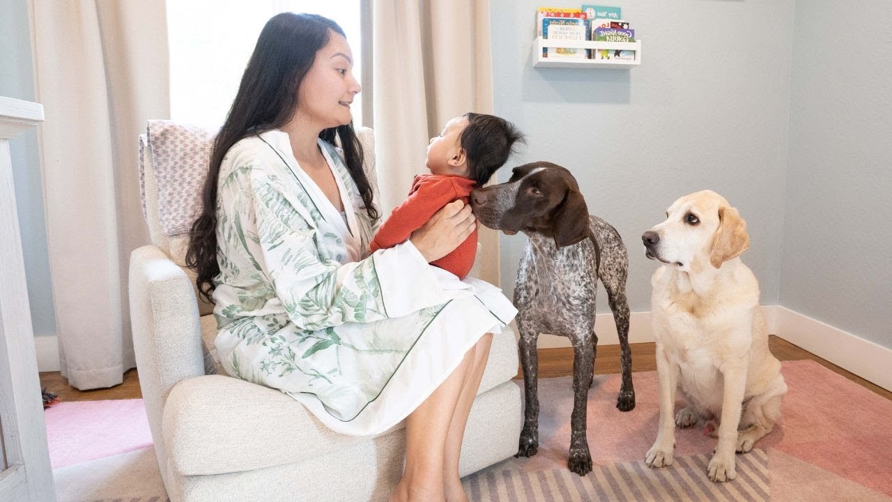 Life with a new born baby and two dogs | Morning Routine