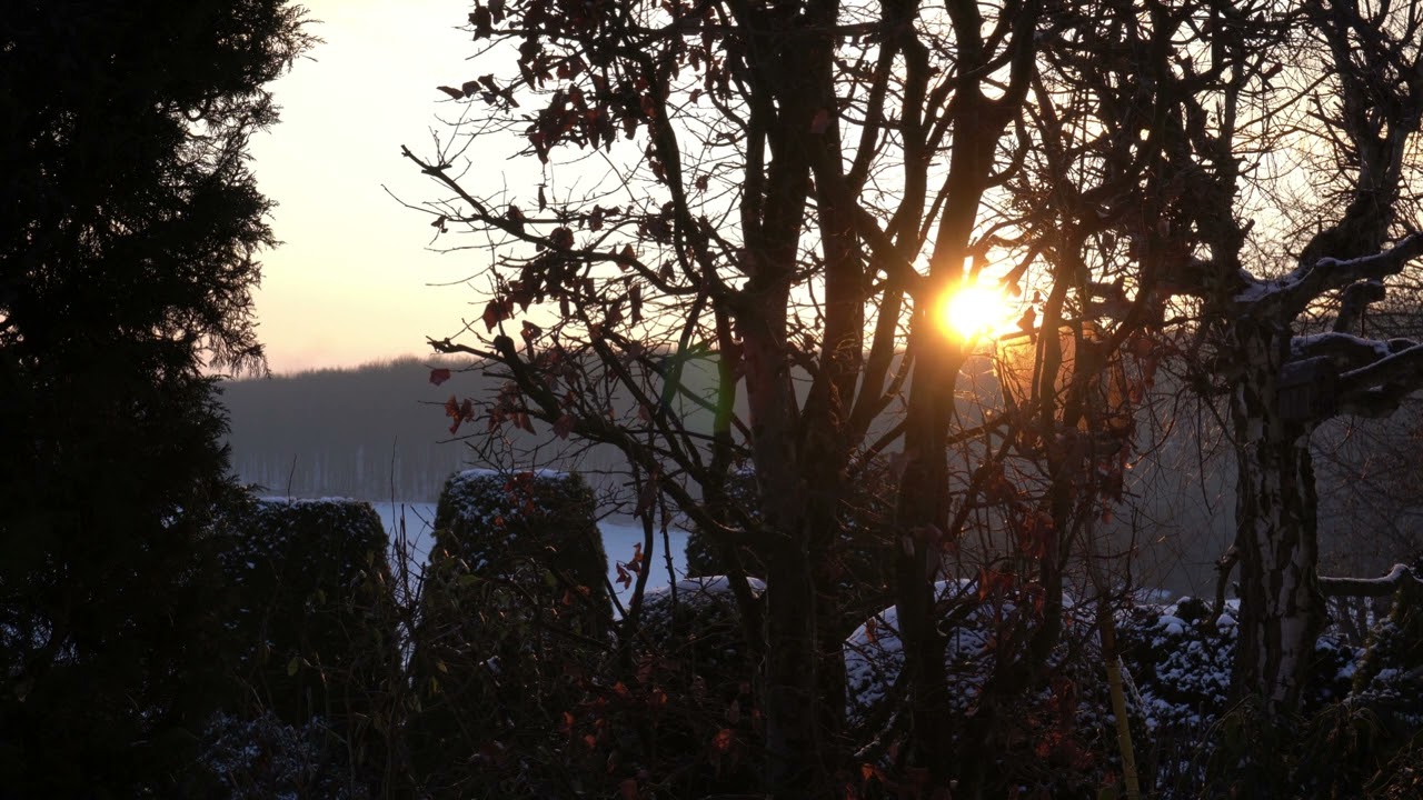 ❤️❤️Was zeichnet den #Dualseelenprozess aus? #Gefühlsklärer & #Loslasserin Dynamik ❤️❤️ 1+1=1 ❤️